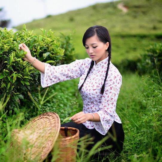 一茶茶业头像