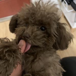 别人家的可乐