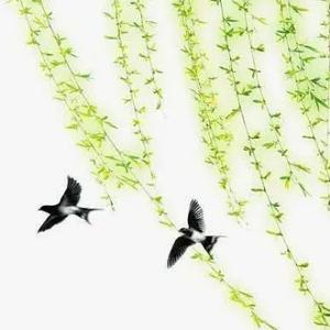 父亲是精神病 在家里打人 骂人 送去医院的话第一没有什么钱 第二送他去了以后他回来他也会打人怎么办 悟空问答