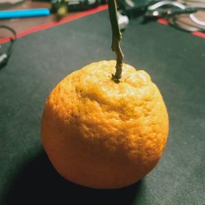 梦醒成真ace