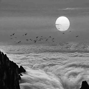 悟空问答 废除汉字几十年后 现在的韩国人是怎么看待 汉字 的 634个回答