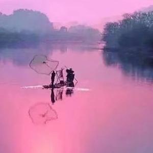 似娱非愚