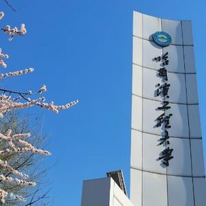 真心求解 英语学习问题 悟空问答