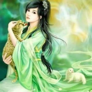 绮梦爱玫瑰