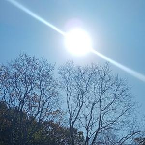 蜂麻燕雀瓷，金评皮彩挂，玩营销的十大“江湖套路”