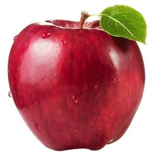 小芝麻开花头像