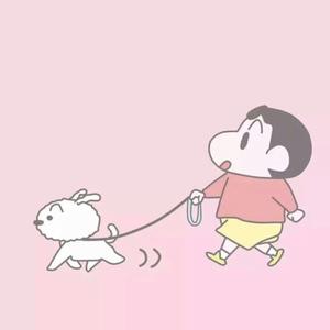 蜡笔小新家的小白头像