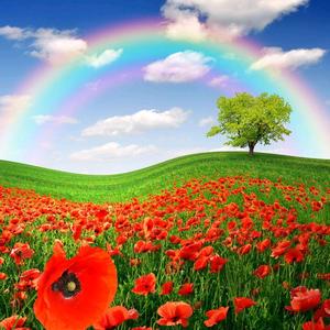 花开花落花満天头像