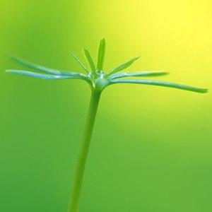 爱眼爱家庭护眼头像