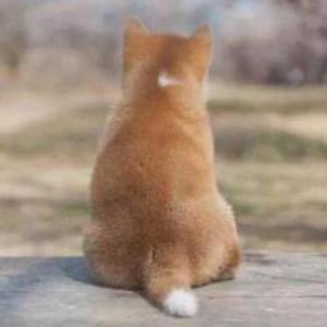 慕容三十二