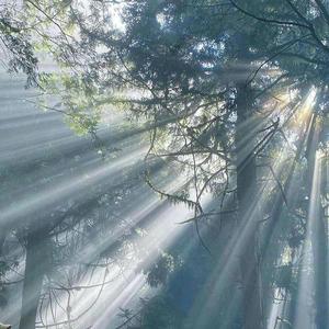 适合爬山的背景音乐 西瓜视频