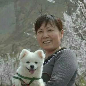 壮壮红叶游天下
