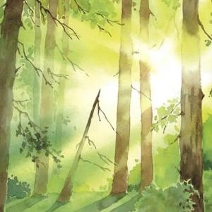 头条问答 大一生物系学生 转专业转数学好还是转物理好 7个回答