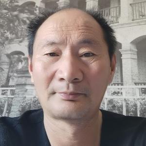 默默无闻的猪