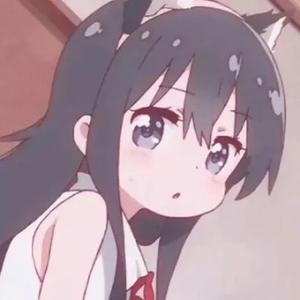 橘猫不爱吃鱼Y