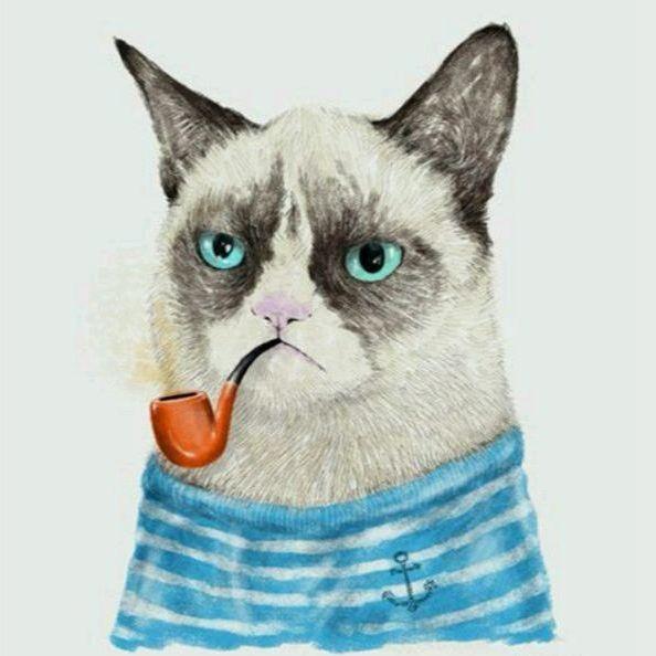 大烟斗的猫头像